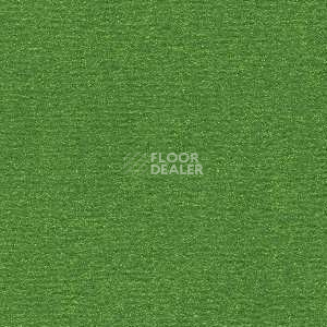 Ковролин Radici Nexus Radura 8224 фото 1 | FLOORDEALER